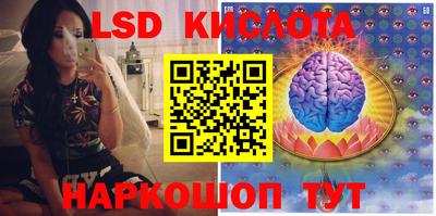 гашик Можайск