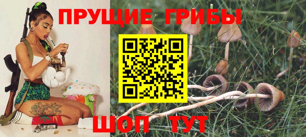 Галлюциногенные грибы Magic Shrooms Углич